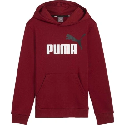 Puma ESSENTIALS + BIG LOGO HOODIE Chlapecká mikina, vínová, velikost