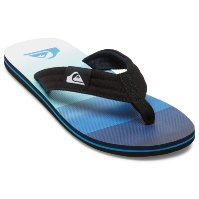 Quiksilver MOLOKAI LAYBACK II Pánské žabky, černá, velikost 45