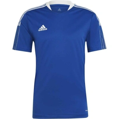 adidas TIRO21 TR JERSEY Pánský fotbalový dres, modrá, velikost